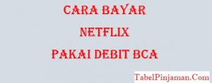 Cara Bayar Netflix Pakai Debit BCA