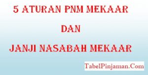 Janji Nasabah PNM Mekaar