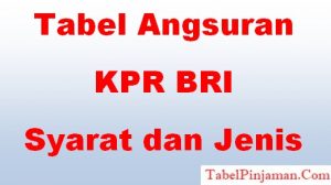 KPR BRI