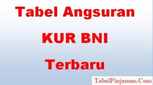KUR BNI