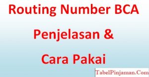 Routing Number BCA
