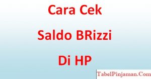 Cek Saldo Brizzi di HP